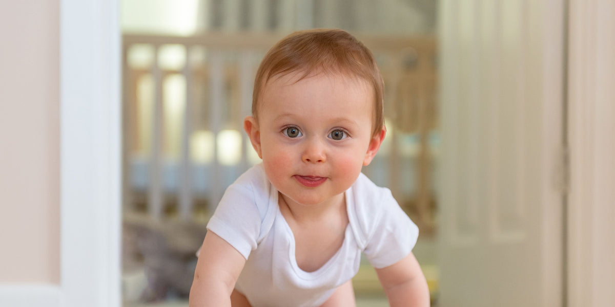 When Do Babies Start Crawling? A Stage Guide for Tired Parents - Livvewell