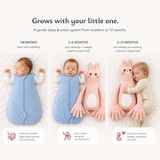 Swaddled to Settled™