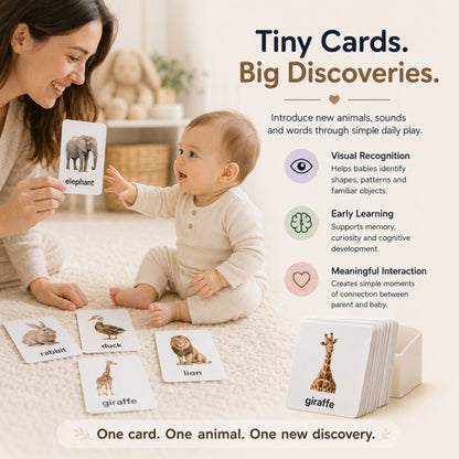 Exploration Bundle™ (3-6 Months) - Livvewell