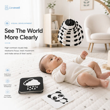 The Discovery Bundle™ - Livvewell